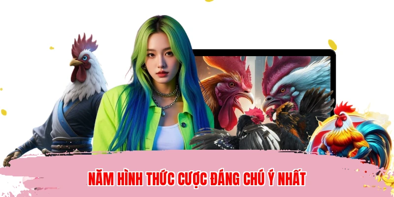 Năm hình thức cược đáng chú ý nhất