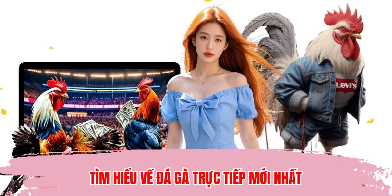 Tìm hiểu về đá gà trực tiếp mới nhất